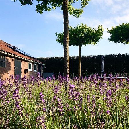 Lavender Lodge Achthuizen المظهر الخارجي الصورة